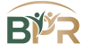 BPR